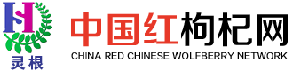 宁夏红枸杞网
